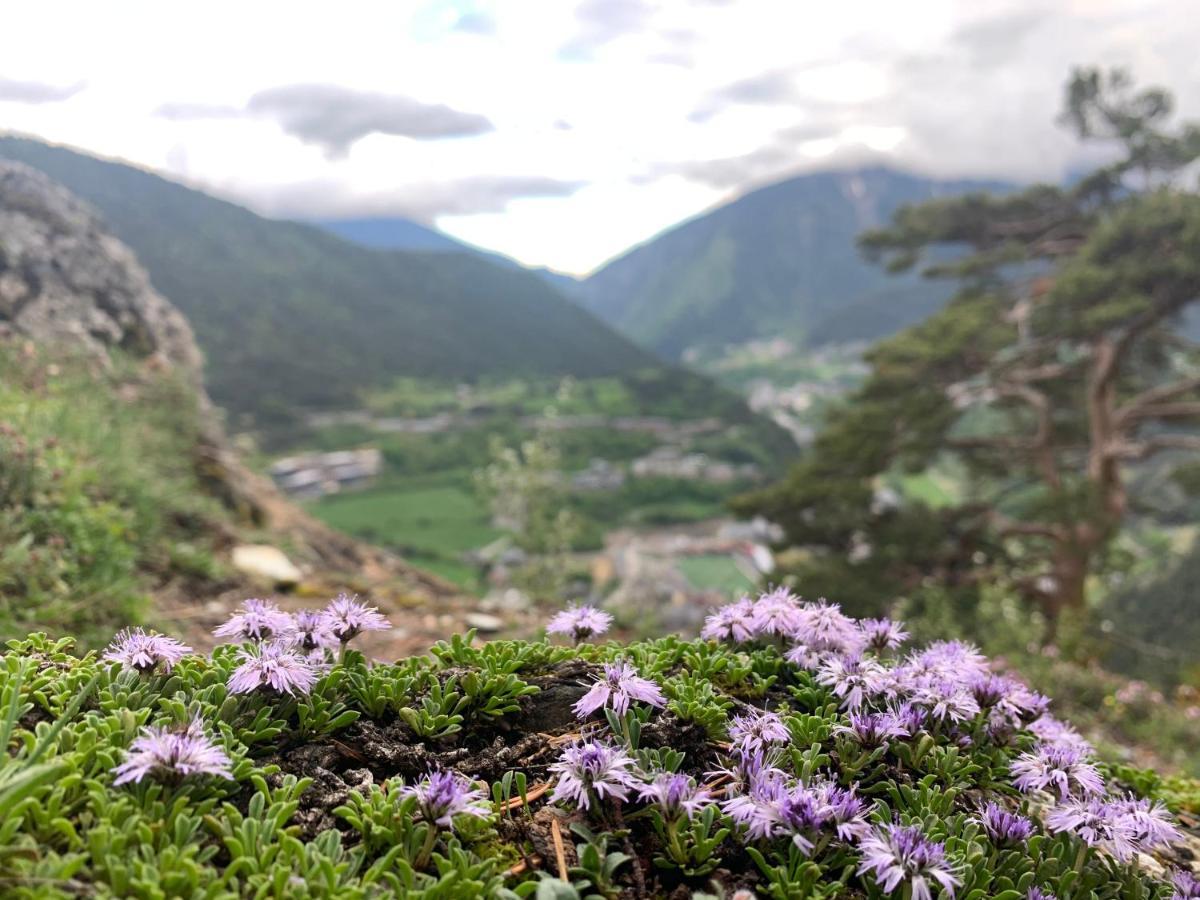 Maians - Peu Del Riu 122 - Vall D'Incles - Soldeu Exterior foto