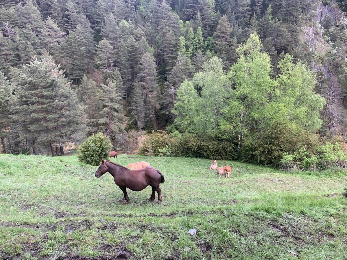Maians - Peu Del Riu 122 - Vall D'Incles - Soldeu Exterior foto